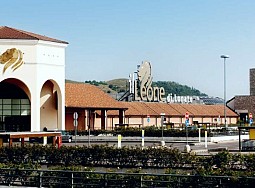 Al Leone c’è Hear/t, servizio di video-interpretariato per persone sorde